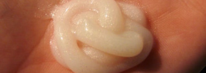 John Frieda серии Brilliant Brunette | Специальный уход для окрашенных, колорированных и натуральных темных волос