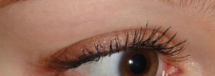 Christian Dior Impression Cuir Leather Couture Eyeshadow Palette