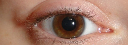 Массовое помешательство