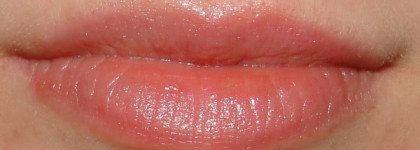 Shiseido The Skincare Protective Lip Conditioner SPF 10 – Защитный бальзам для губ