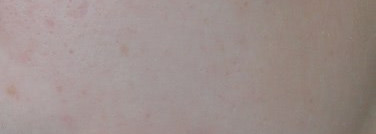 Пудра для белоснежки-Shiseido The Makeup Pressed Powder – Шелковистая компактная пудра(№1)