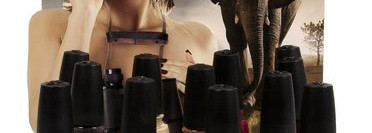 China Glaze On Safari Collection Fall 2012. Коллекция лаков China Glaze Сафари Осень 2012