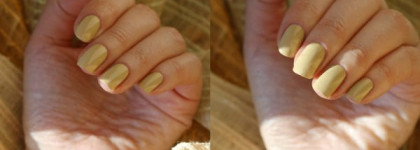 China Glaze On Safari Collection Fall 2012. Часть II