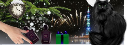 Новогодняя сказка для больших маленьких девочек