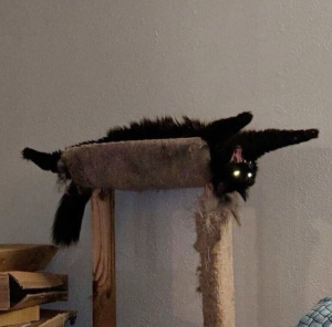 Фото автора отзывов на Косметисте