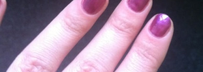 Четыре летних любимчика Golden Rose