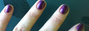 Четыре летних любимчика Golden Rose