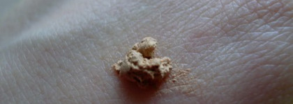 Тональный мусс Essence Soft Touch Mousse Make-up 01 Matt sand