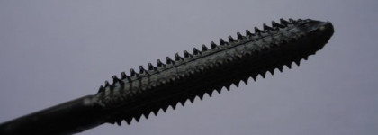 Обзор тушей. Loreal, Eva, Vivienne Sabo, Essence