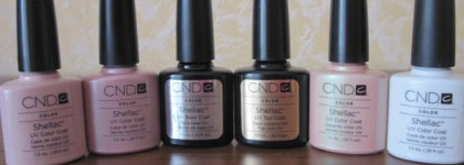 Shellac Cnd: быть или не быть?