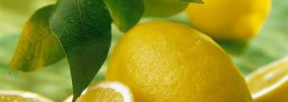 Отражение свежести - Cristalle Eau Verte Eau De Toilette Concentree Spray от Chanel