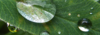 Отражение свежести - Cristalle Eau Verte Eau De Toilette Concentree Spray от Chanel