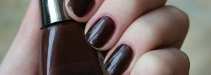 Golden Rose Fantastic Color