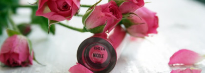 Bare Minerals Buxom Full-On Lip Polish - Nicole