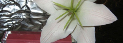 Beyu Блеск для губ Catwalk Volume Gloss №18