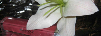 Beyu Блеск для губ Catwalk Volume Gloss №18