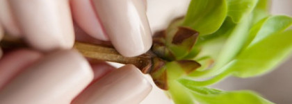 OPI — Did You ‘ear About Van Gogh? — Holland Collection Spring 2012