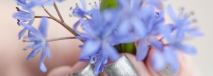 Anny – Silver Shadow 445