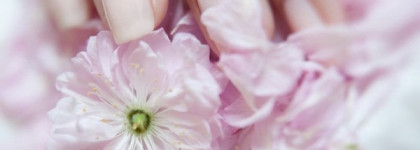 China Glaze — Inner Beauty