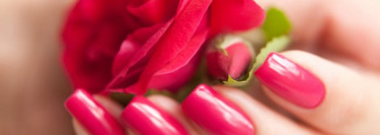 Dance Legend — 338