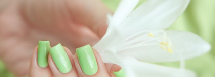 Jessica – Viva La Lime Lights