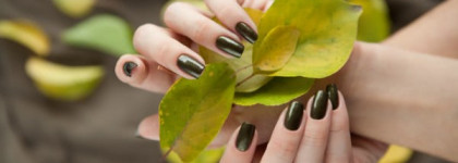 EL Corazon — Poly-Chrome 358