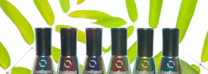 Dance Legend — коллекция Chameleon. Осень 2013