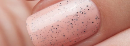 El Corazon — коллекция New Dalmatians