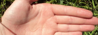 Созданы самой Природой :  Nature's Gate Henna Shine Enhancing Shampoo и Aubrey Organics Nourishing Shampoo Rosa Mosqueta