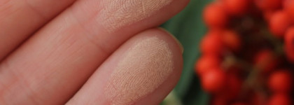 Rimmel London Stay Matte Long Lasting Pressed Powder # 004 Sandstorm Стойкая матирующая пудра