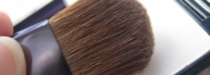 Shiseido luminizing Satin Face Color WT 905   Неуловимый Дальний Свет