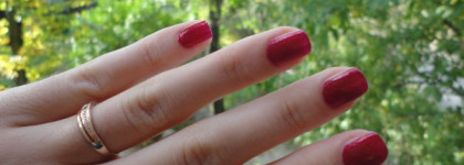 Маленькая компания орлят