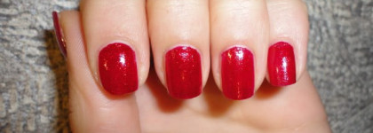 Маленькая компания орлят