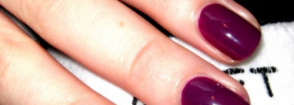 Везёт или не везёт...Golden Rose Fantastic #135