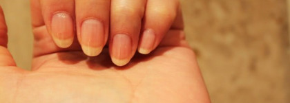 Балетки Chanel Blue Boy и Illamasqua Fern