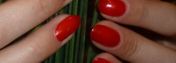 Golden Rose Paris №60