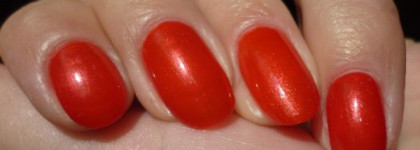 Golden Rose Paris №60