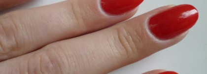 Golden Rose Paris №60