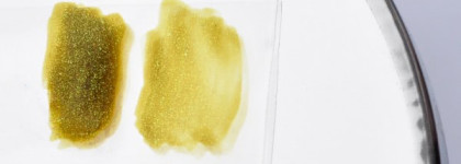 Знакомство с Orly. Мой безумный маникюр