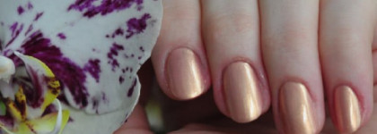 Новые приобретения. Часть II - лаковая