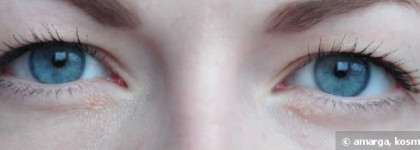 Новые приобретения. Часть I