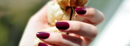 Винил и Слива