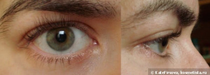 Тушь Sensai Mascara 38 C (volumising) и подводка Sensai Liquid Eyeliner