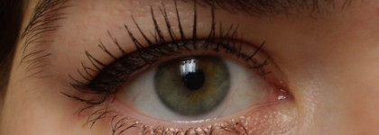 Тушь Sensai Mascara 38 C (volumising) и подводка Sensai Liquid Eyeliner