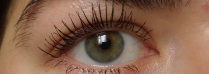 Тушь Sensai Mascara 38 C (volumising) и подводка Sensai Liquid Eyeliner