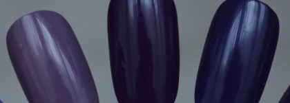 El Corazon "Charm and beauty" №854