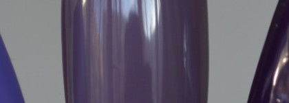 El Corazon "Charm and beauty" №880