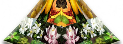 Уверенность в себе с Trussardi Donna