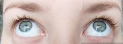 MAC Studio Fix Lash vs. Clinique High Impact Mascara
