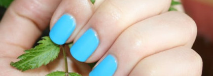 Небо на ногтях с лаком Golden Rose #204